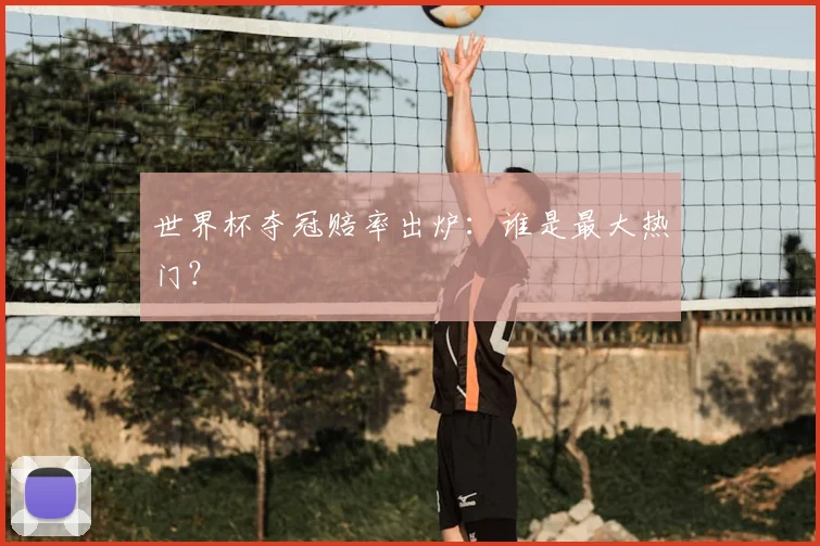 世界杯夺冠赔率出炉：谁是最大热门？